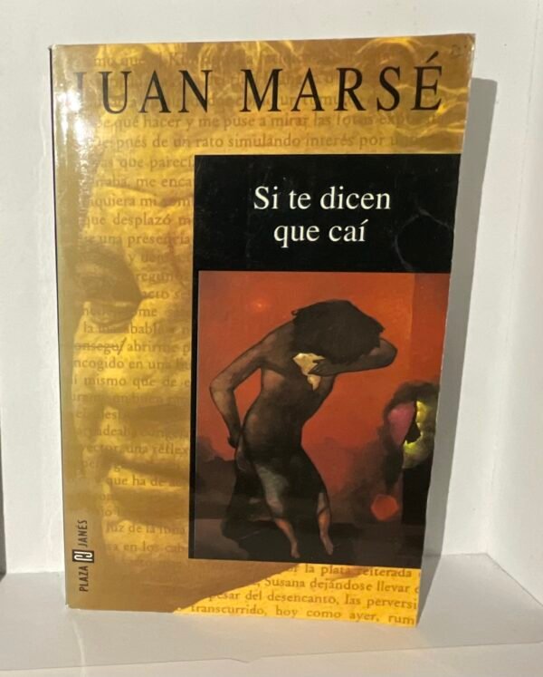 IMG_1358 Si te dicen que caí