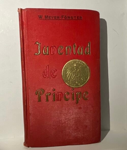 Carlos Enrique (juventud de príncipe)