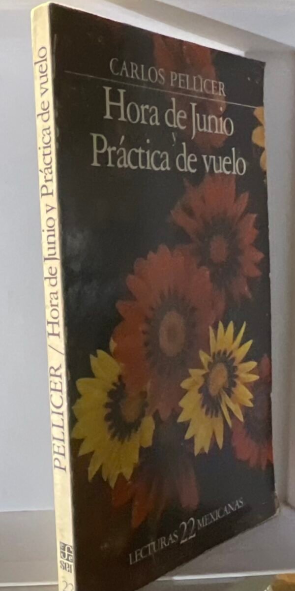 Hora de junio y práctica de vuelo