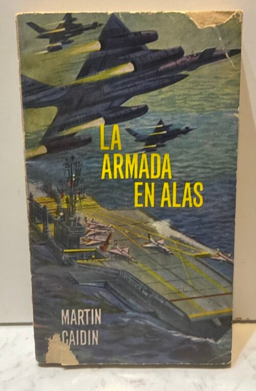 IMG_6554 La armada en alas